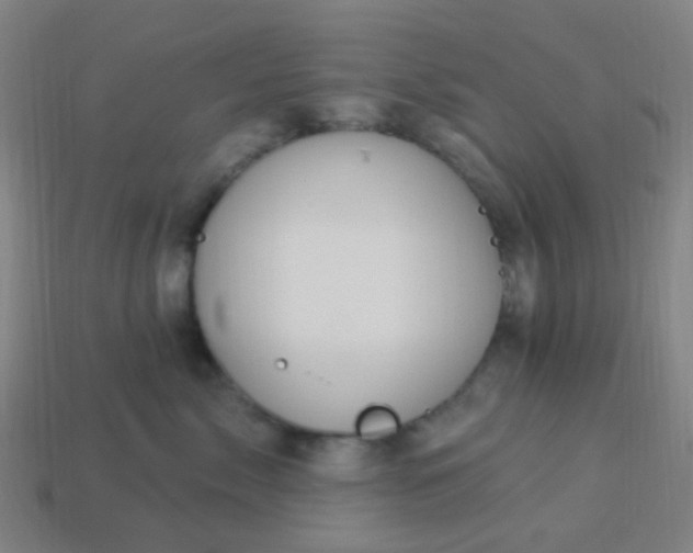 X0000114120717200910191723