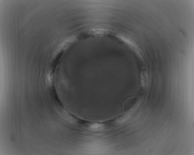 X0000114120718200910191723