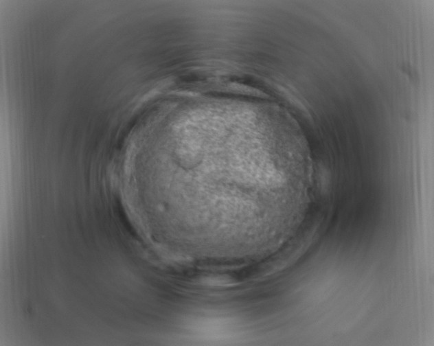 X0000114120719200910191723