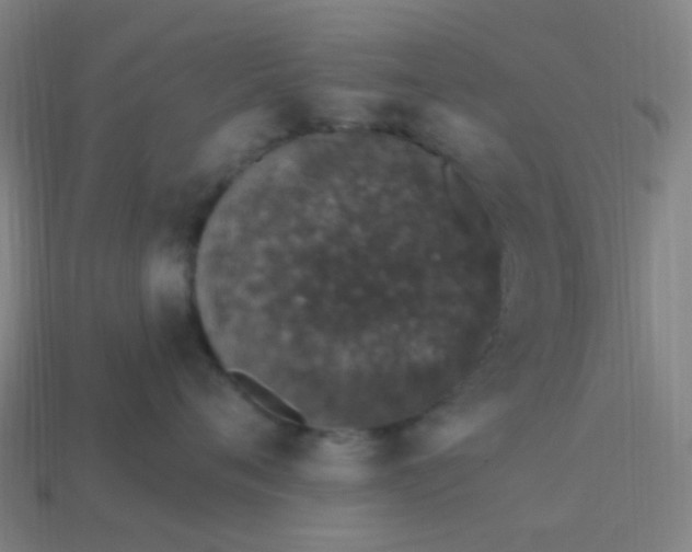 X0000114120720200910191723