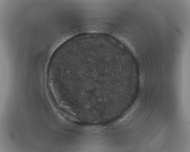 X0000114120721200910191722