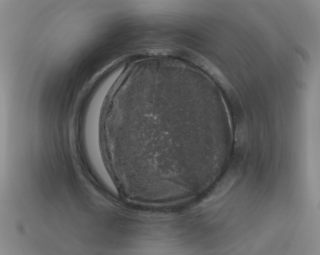 X0000114120722200910191722