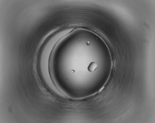 X0000114120724200910191722