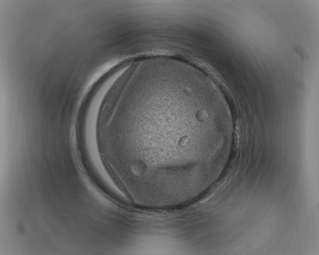 X0000114120726200910191722