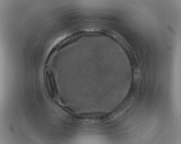 X0000114120727200910191722