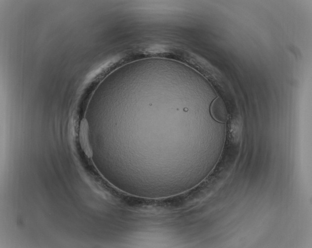 X0000114120732200910191722