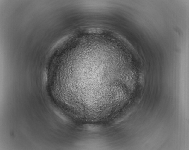 X0000114120733200910191722