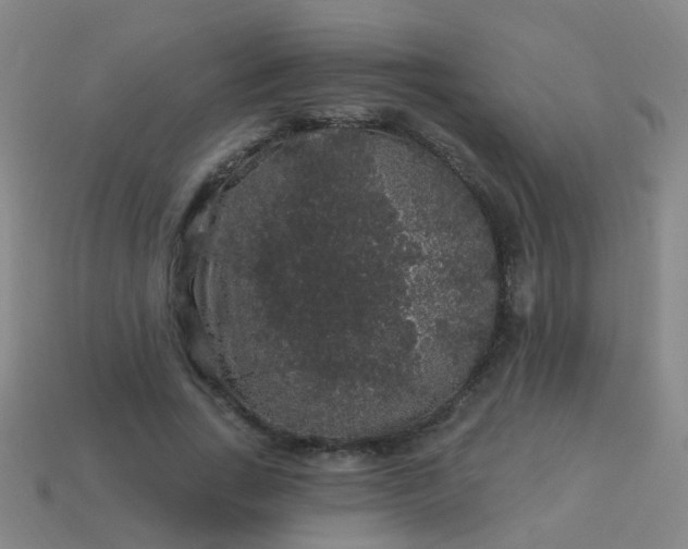 X0000114120735200910191723