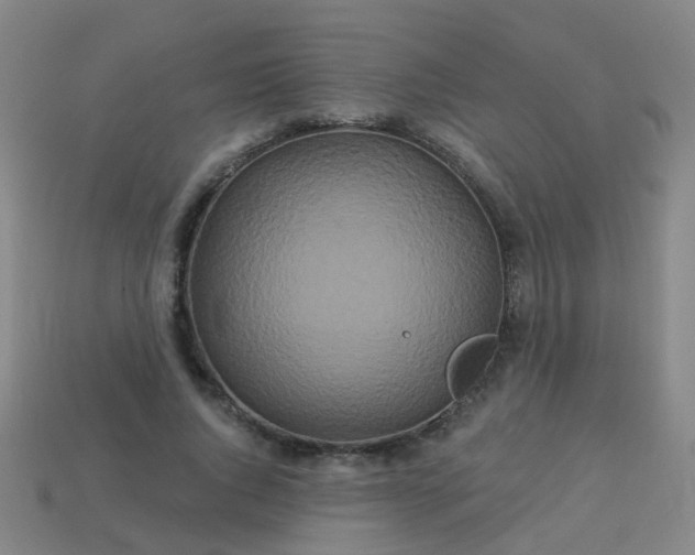 X0000114120736200910191723