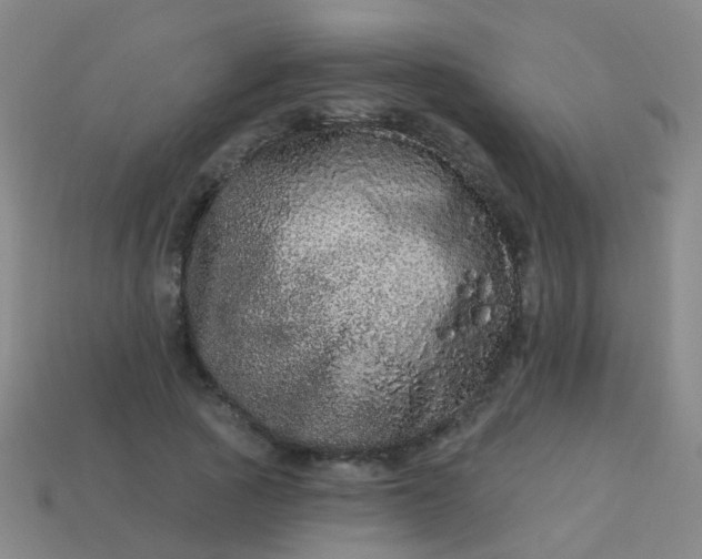 X0000114120737200910191723