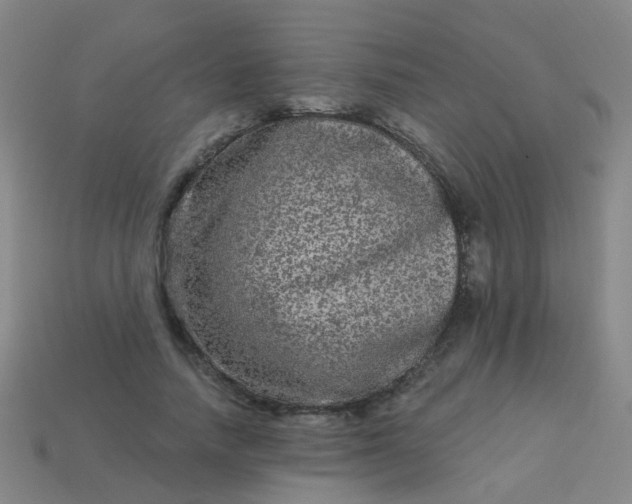 X0000114120738200910191723