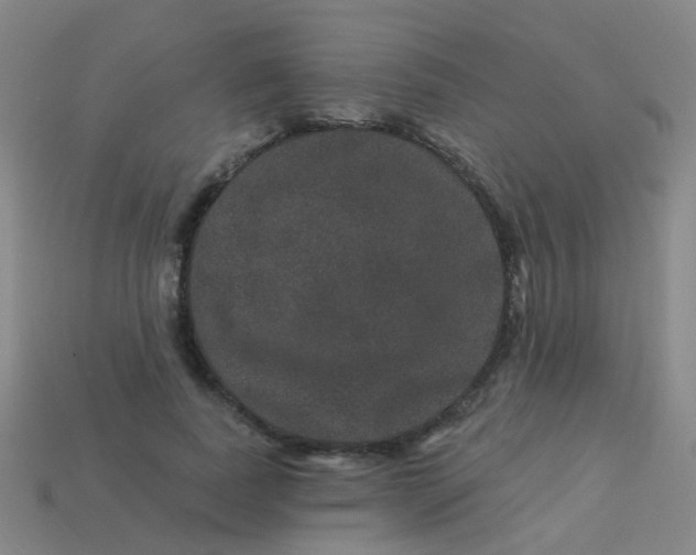 X0000114120739200910191723