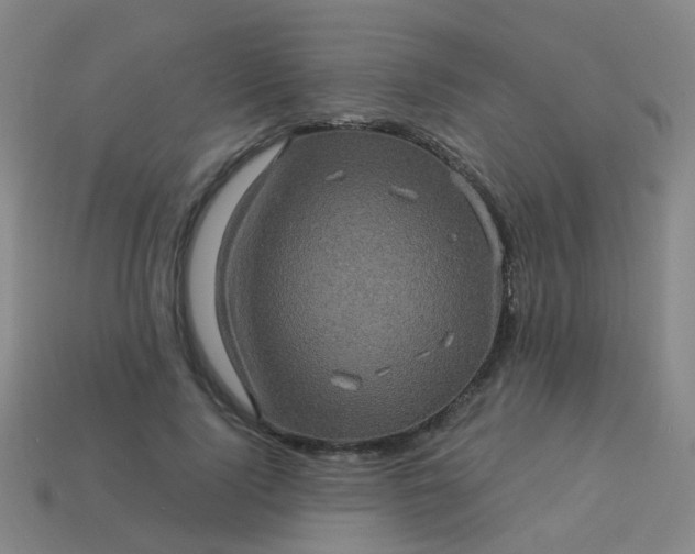 X0000114120740200910191723