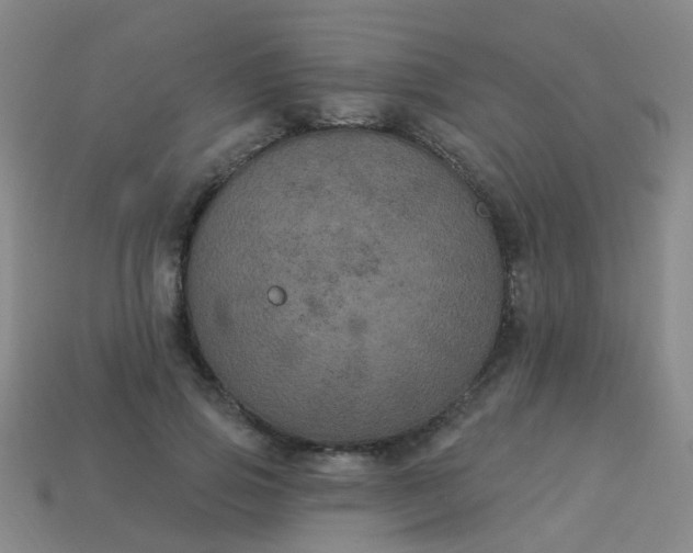 X0000114120741200910191723