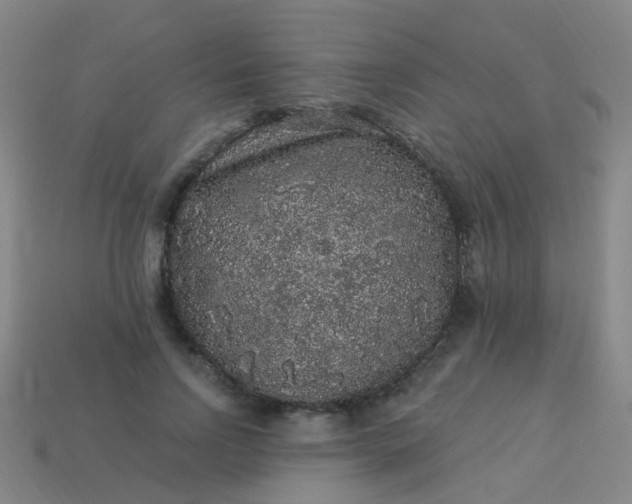 X0000114120742200910191723