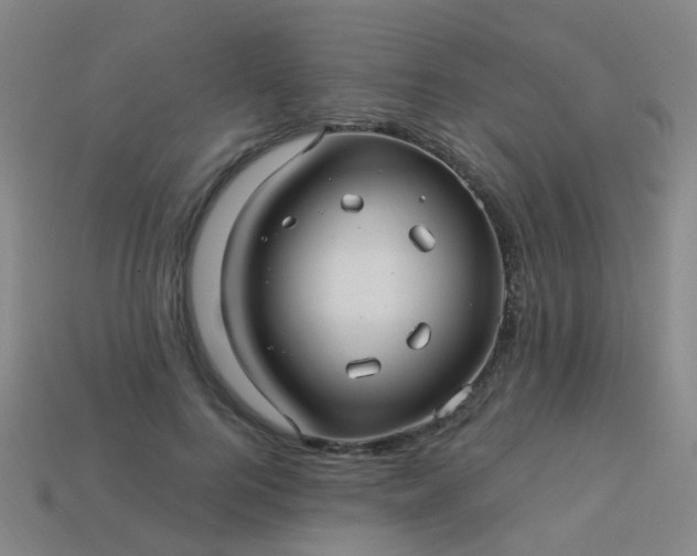 X0000114120744200910191723