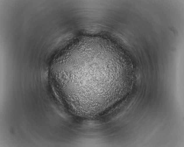 X0000114120745200910191723