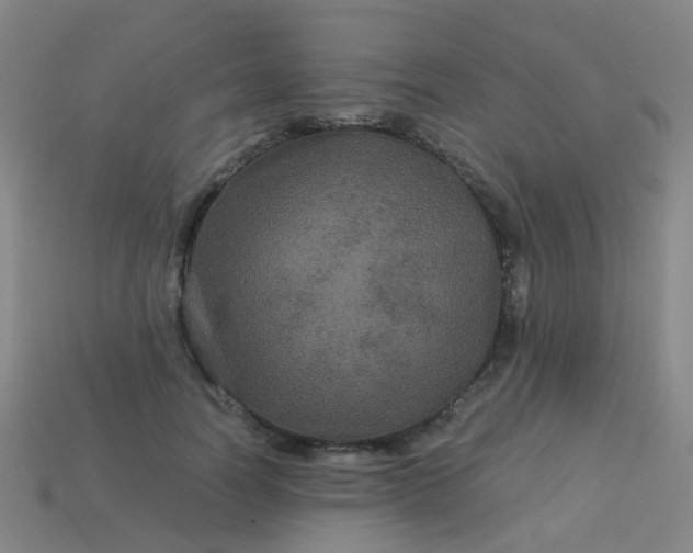 X0000114120746200910191723