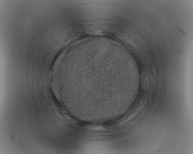 X0000114120747200910191723