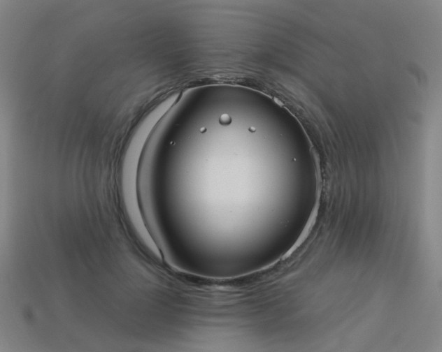 X0000114120748200910191723