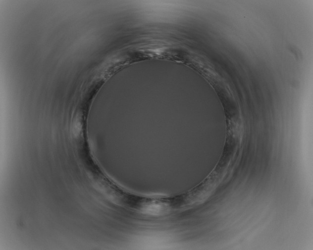 X0000114120754200910191723