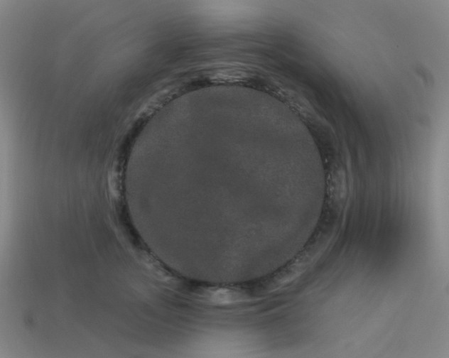 X0000114120755200910191723