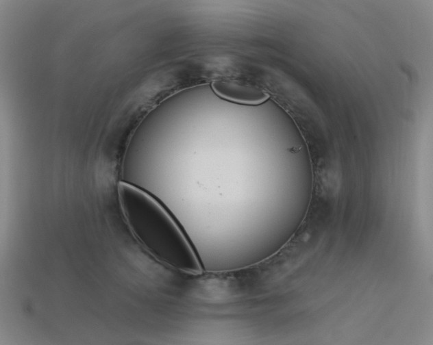 X0000114120756200910191723