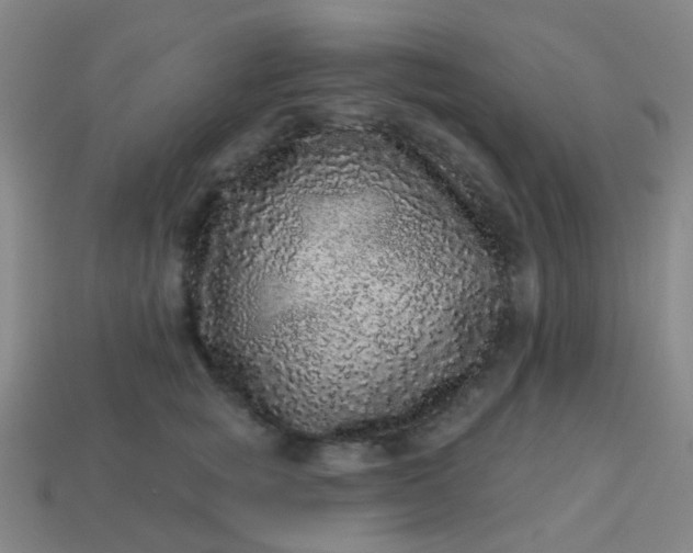 X0000114120757200910191723