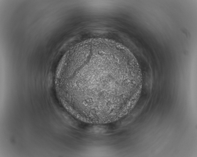 X0000114120758200910191723