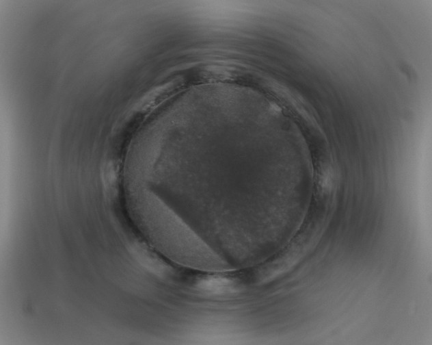 X0000114120759200910191723