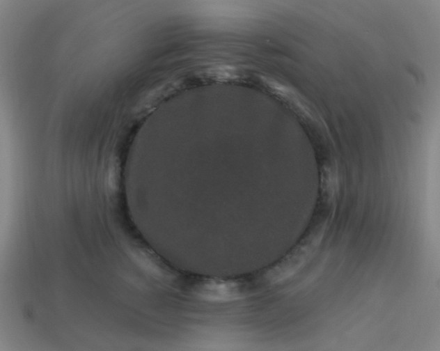 X0000114120760200910191723