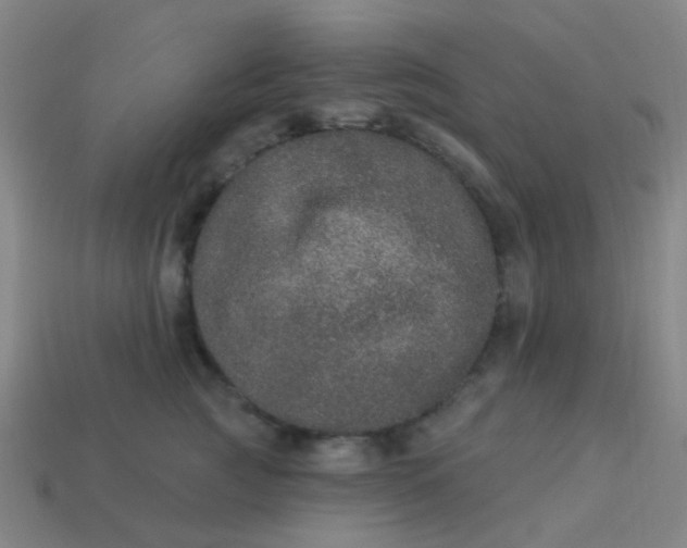 X0000114120761200910191723