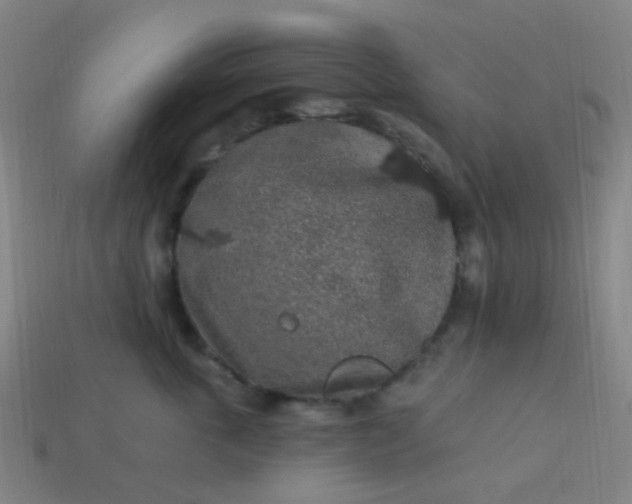 X0000114120763200910191723