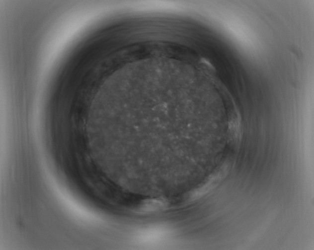 X0000114120765200910191723