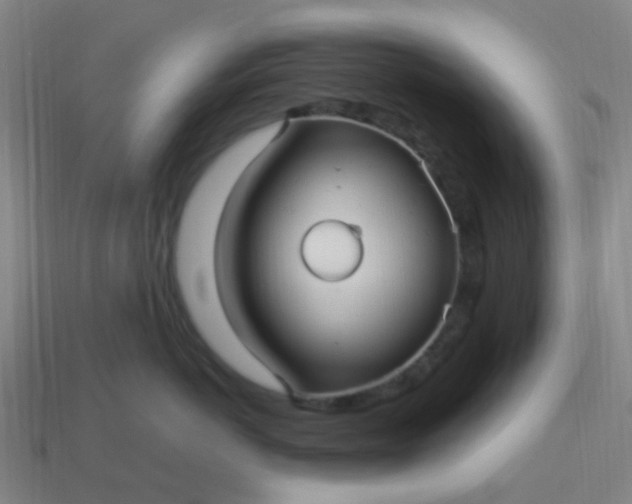 X0000114120766200910191723