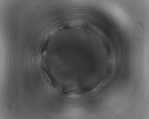 X0000114120767200910191723