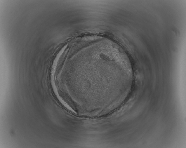 X0000114120769200910191722