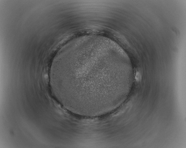 X0000114120771200910191722