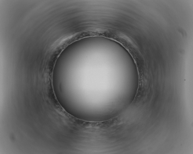 X0000114120773200910191722