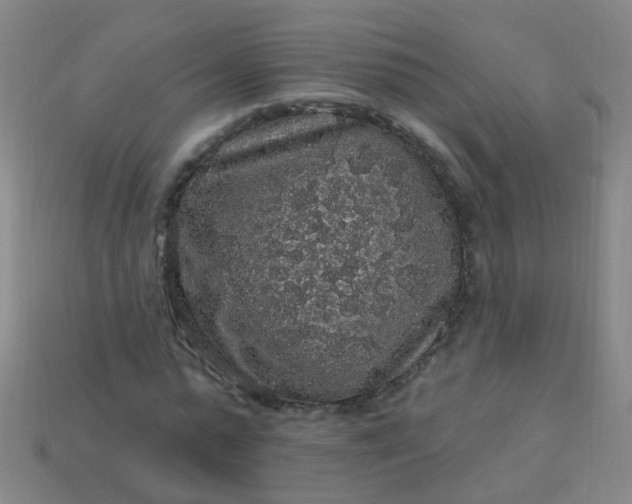 X0000114120775200910191722