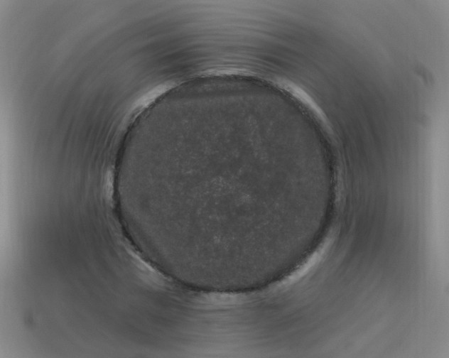 X0000114120777200910191722