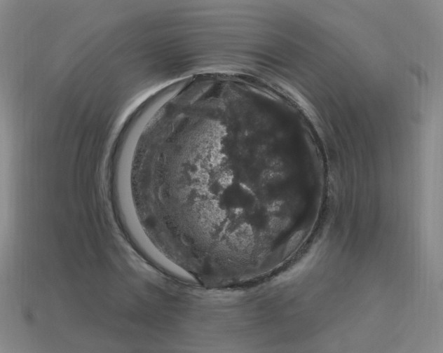 X0000114120779200910191722