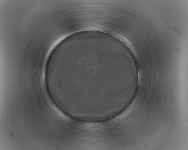 X0000114120780200910191722