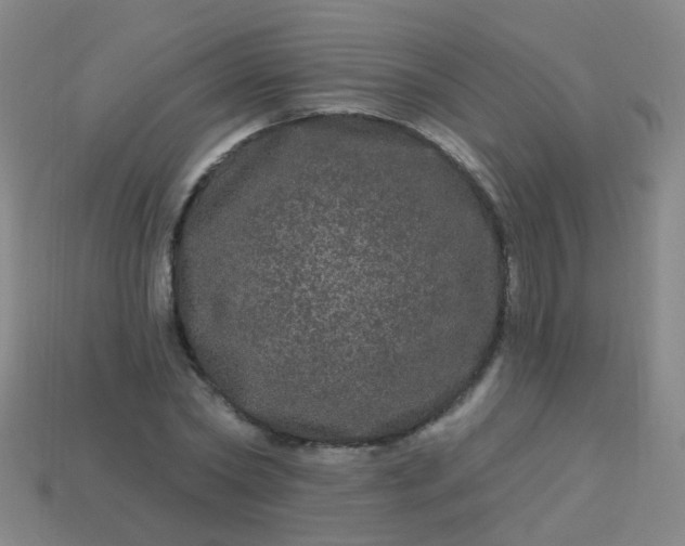 X0000114120782200910191722