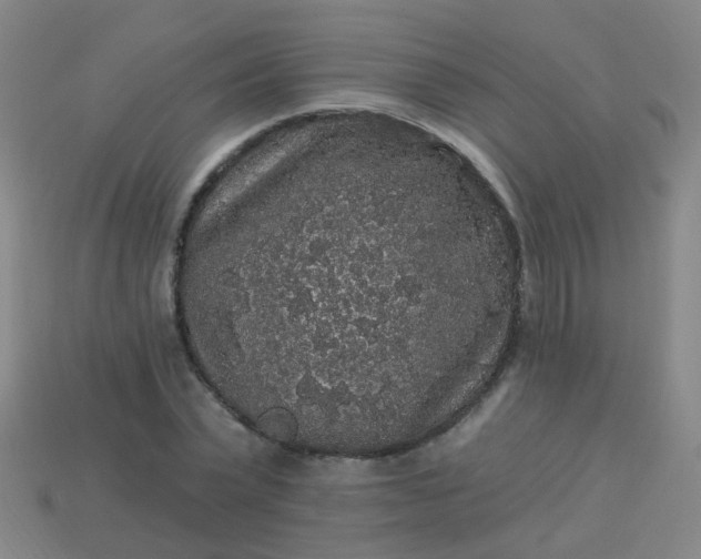 X0000114120783200910191722