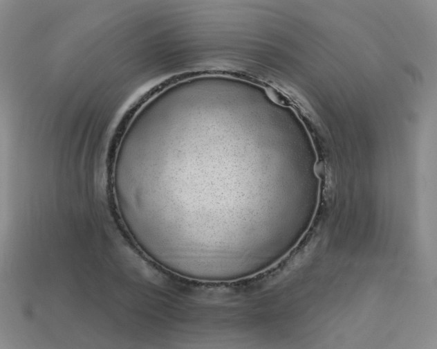 X0000114120784200910191722