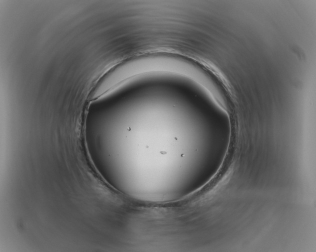 X0000114120785200910191722