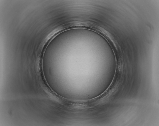 X0000114120786200910191722