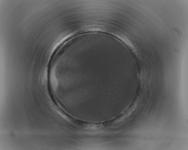 X0000114120790200910191722