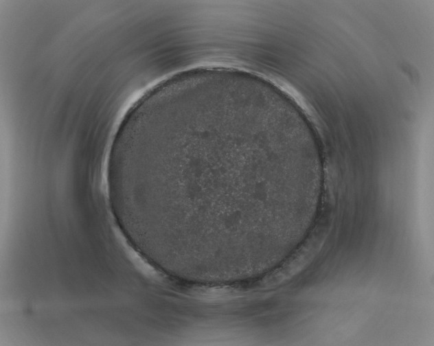 X0000114120791200910191722